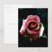 Cartes Pour Fêtes Annuelles Rose rouge peinte à l'huile (Devant / Derrière)