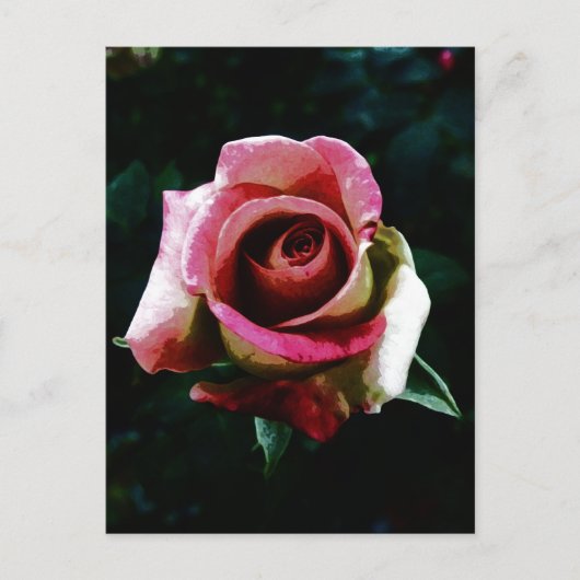 Cartes Pour Fêtes Annuelles Rose rouge peinte à l'huile (Devant)