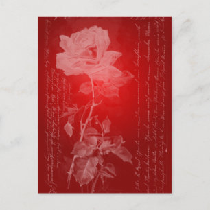 Cartes Pour Fêtes Annuelles Rose rouge Valentine