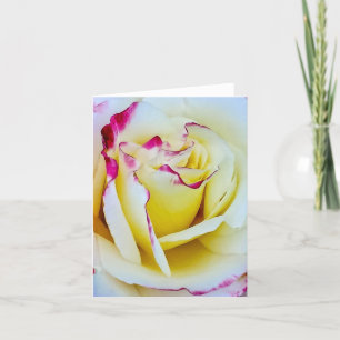 Cartes Pour Fêtes Annuelles Rose teintée en rose et jaune en fleurs