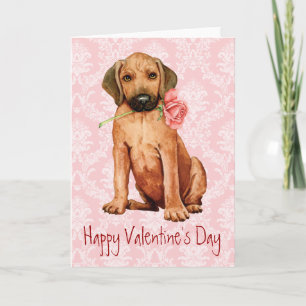 Cartes Pour Fêtes Annuelles Rose Valentin Rhodesian Ridgeback