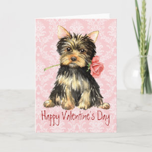 Cartes Pour Fêtes Annuelles Rose Valentine Yorkie