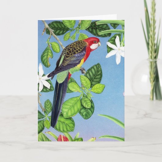 Cartes Pour Fêtes Annuelles Rosella oriental (Devant)