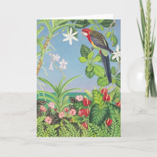 Cartes Pour Fêtes Annuelles Rosella oriental (Devant)