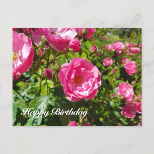 Cartes Pour Fêtes Annuelles Roses florissants Joyeux anniversaire