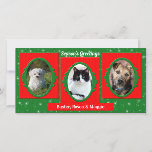 Cartes Pour Fêtes Annuelles Rouge et vert Animaux de compagnie Lover 3 Photo