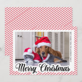 Cartes Pour Fêtes Annuelles Rouge Moderne Calligraphie Animaux de compagnie Ph (Devant / Derrière)