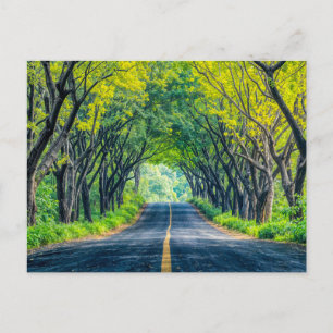 Cartes Pour Fêtes Annuelles Route à travers une allée d'arbres dense