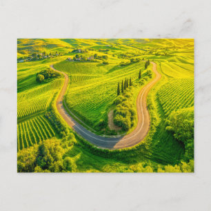 Cartes Pour Fêtes Annuelles Routes sinueuses à travers vignobles et cyprès