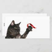 Cartes Pour Fêtes Annuelles Ruban de Noël de chat (Devant / Derrière)