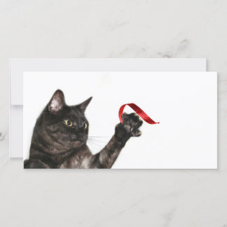 Cartes Pour Fêtes Annuelles Ruban de Noël de chat