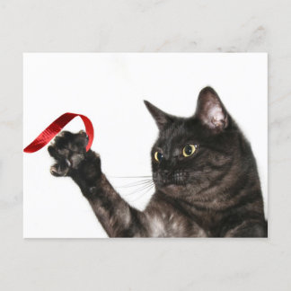 Cartes Pour Fêtes Annuelles Ruban de Noël de chat