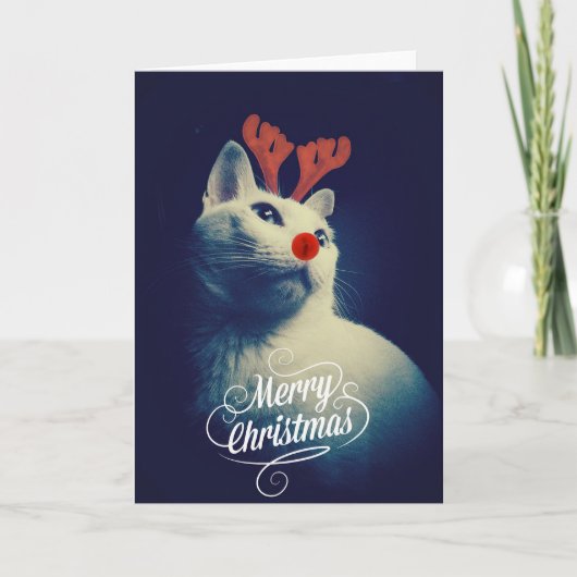 Cartes Pour Fêtes Annuelles Rudolph Christmas Kitty Card (Devant)