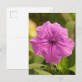 Cartes Pour Fêtes Annuelles Ruellia simplex (Devant / Derrière)