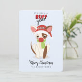 Cartes Pour Fêtes Annuelles RUFF Année Chihuahua en masque facial (Debout devant)
