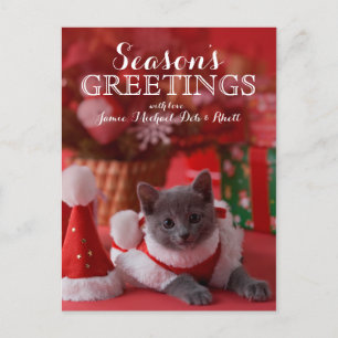 Cartes Pour Fêtes Annuelles Russian Blue Kitten et Christmas