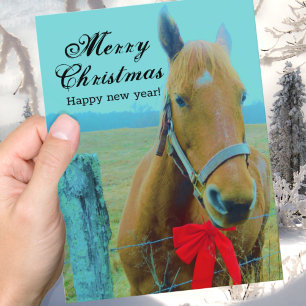 Cartes Pour Fêtes Annuelles Rustic Blue Christmas Horse Red Bow