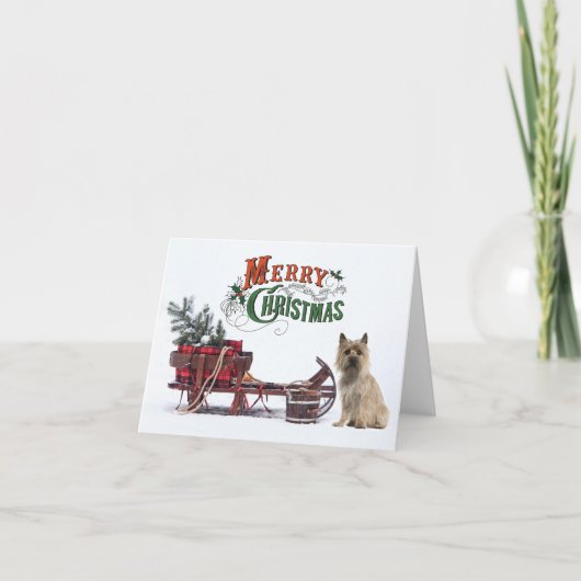 Cartes Pour Fêtes Annuelles Rustic Cairn Terrier Noël (Devant)