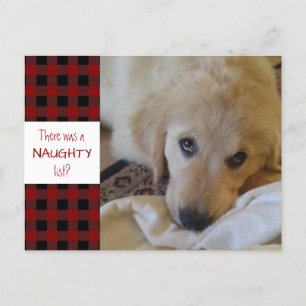 Cartes Pour Fêtes Annuelles Rustic Pet NAUGHTLIST Red Buffalo Plaid Funny