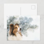 Cartes Pour Fêtes Annuelles Sable Shelter Noël (Devant / Derrière)