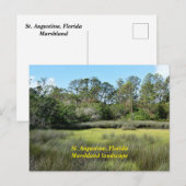 Cartes Pour Fêtes Annuelles Saint Augustine, marais de Floride (Devant / Derrière)