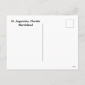 Cartes Pour Fêtes Annuelles Saint Augustine, marais de Floride (Dos)