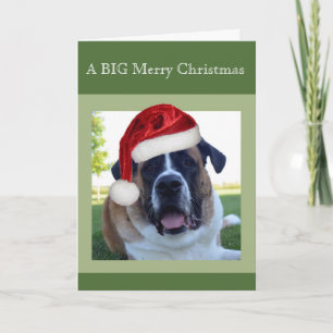 Cartes Pour Fêtes Annuelles Saint Bernard "Big" Joyeux Noël