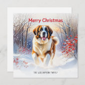 Cartes Pour Fêtes Annuelles Saint Bernard Chien En Neige Joyeux Noël (Devant / Derrière)