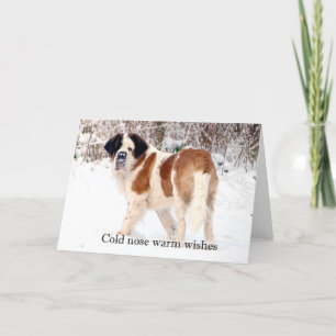 Cartes Pour Fêtes Annuelles Saint Bernard neige photographique voeux de Noël