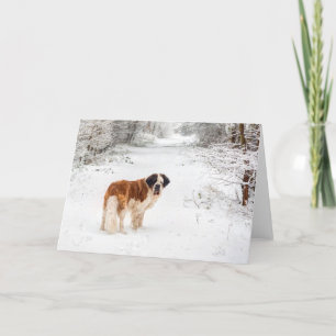 Cartes Pour Fêtes Annuelles Saint Bernard neige photographique voeux de Noël