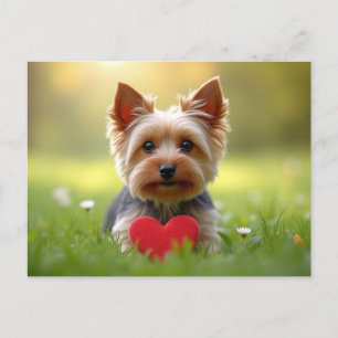 Cartes Pour Fêtes Annuelles Saint Valentin