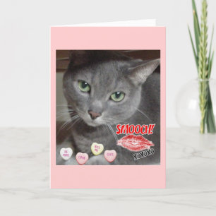 Cartes Pour Fêtes Annuelles Saint Valentin Chat bleu russe gris