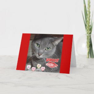 Cartes Pour Fêtes Annuelles Saint Valentin Chat bleu russe gris