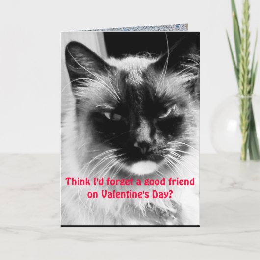 Cartes Pour Fêtes Annuelles Saint Valentin Chat drôle pour les amis (Devant)