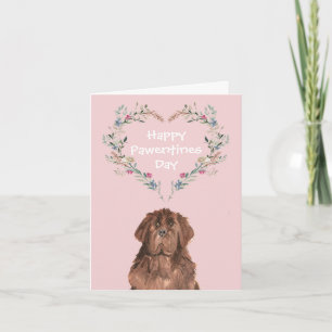 Cartes Pour Fêtes Annuelles Saint-Valentin Chien Terre-Neuve