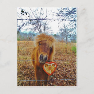 Cartes Pour Fêtes Annuelles Saint Valentin Coeur Miniature Cheval brun