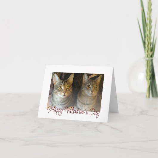Cartes Pour Fêtes Annuelles Saint-Valentin Cute Cats Typographie de script rou (Devant)