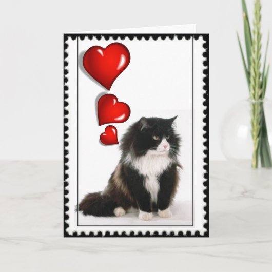 Cartes Pour Fêtes Annuelles Saint-Valentin de chat noir et blanc (Devant)