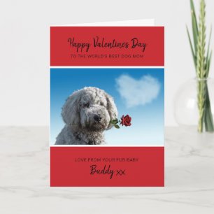 Cartes Pour Fêtes Annuelles Saint-Valentin de la part du chien à sa maman avec