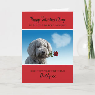Cartes Pour Fêtes Annuelles Saint-Valentin de la part du chien avec une rose r