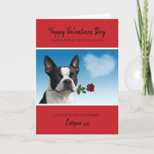 Cartes Pour Fêtes Annuelles Saint-Valentin de Maman de Chien de Boston Terrier