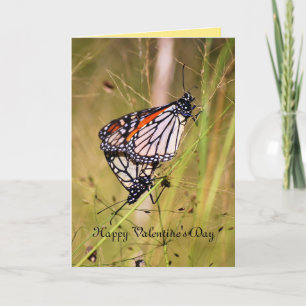 Cartes Pour Fêtes Annuelles Saint Valentin Monarque papillon paire