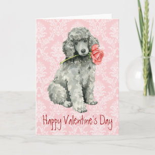 Cartes Pour Fêtes Annuelles Saint Valentin Rose Standard Poodle