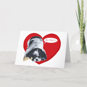 Cartes Pour Fêtes Annuelles Saint-Valentin Shih Tzu