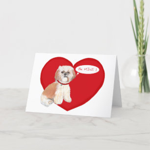 Cartes Pour Fêtes Annuelles Saint-Valentin Shih Tzu