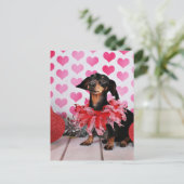 Cartes Pour Fêtes Annuelles Saint Valentin - Sophia - Dachshund (Debout devant)