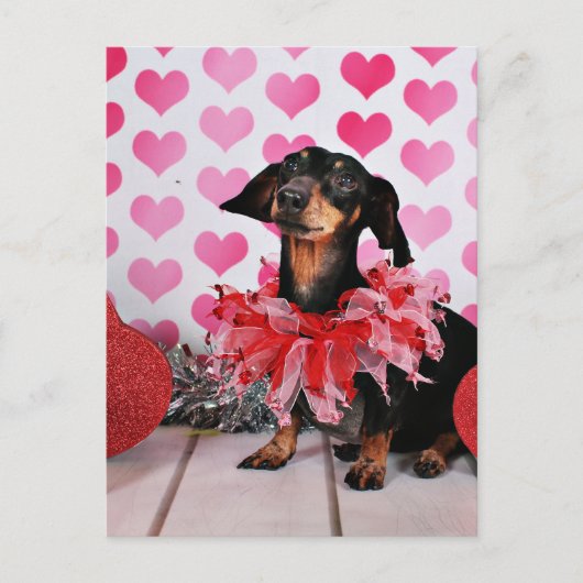 Cartes Pour Fêtes Annuelles Saint Valentin - Sophia - Dachshund (Devant)
