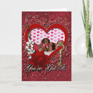 Cartes Pour Fêtes Annuelles Saint Valentin - Sophie - Dachshund