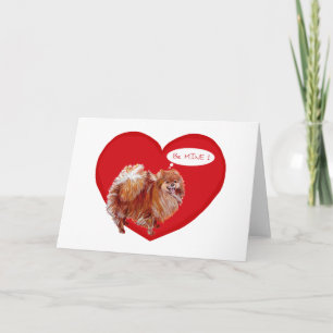 Cartes Pour Fêtes Annuelles Saint-Valentin spitz nain