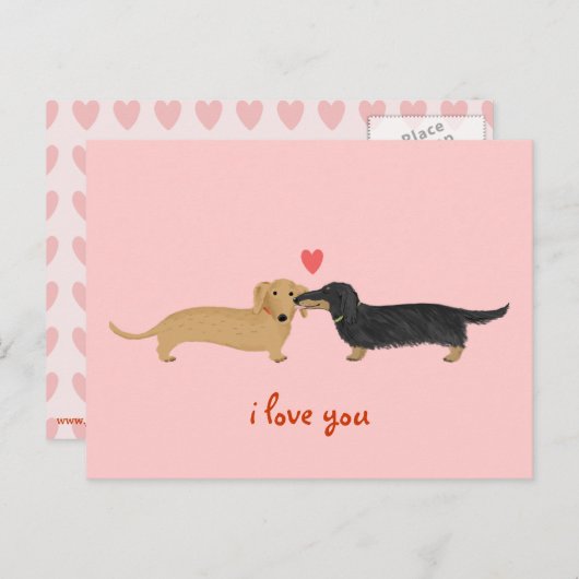 Cartes Pour Fêtes Annuelles Saint-Valentin teckel Bisou Mignons chiens viennoi (Devant / Derrière)